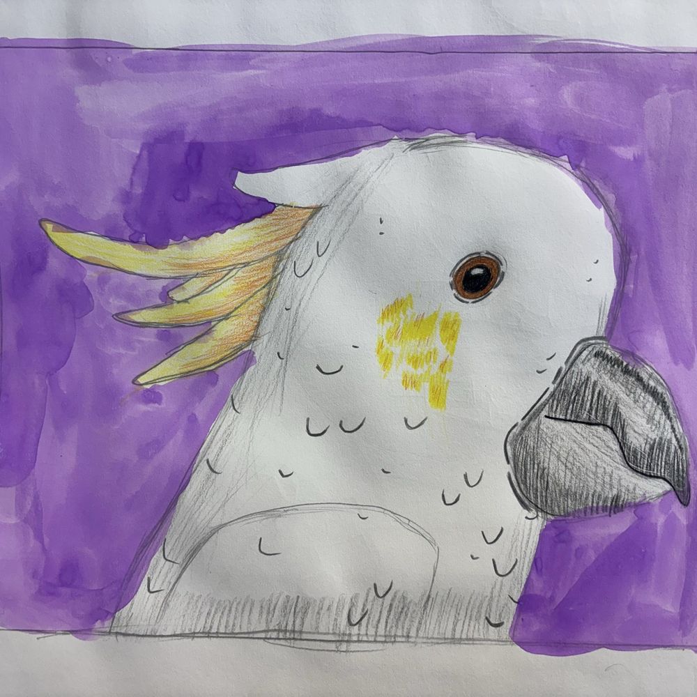 Happy Picasso - Art Classes Near Me - Millbrae, California Happy Picasso - Art Classes Near Me - Millbrae, California