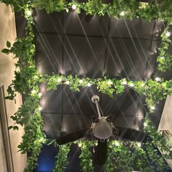 Pura Brasa - I loved the drippy plants and lighting in the ceiling. It was so intimate and cozy!