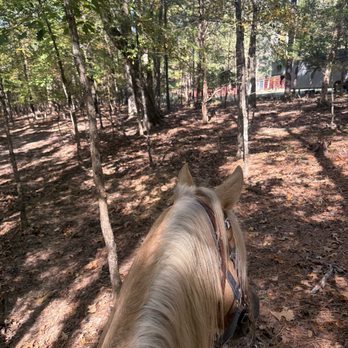 Dead Broke Farm - Horseback Riding Near Me - Raleigh, North Carolina Dead Broke Farm - Horseback Riding Near Me - Raleigh, North Carolina