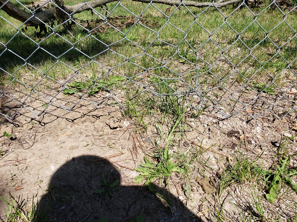 The Tree Surgeon - tree service in Papillion, NE