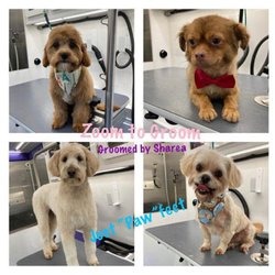 Zoom To Groom