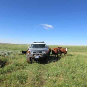 Toy Crawlers - Casper Wyoming Muddy Mountain Pasture 2019 - Auto Customization Near Me - Broomfield, Colorado Toy Crawlers - Casper Wyoming Muddy Mountain Pasture 2019 - Auto Customization Near Me - Broomfield, Colorado