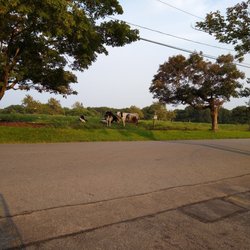 Cooper's Hilltop Farm