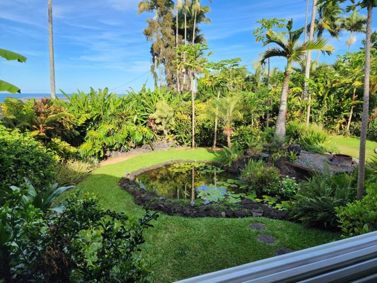 Orchid Tree Bed & Breakfast by null