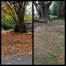 Bizy Boys Lawn and Yard Care