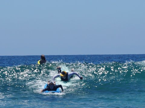 DanSurf Logo