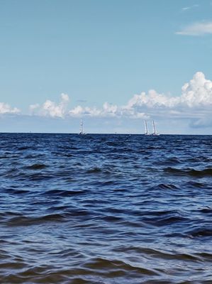 Dr. Von D. Mizell-Eula Johnson State Park by null