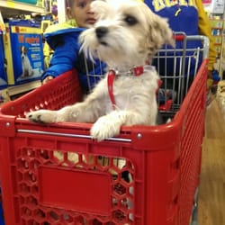 Pet Supermarket