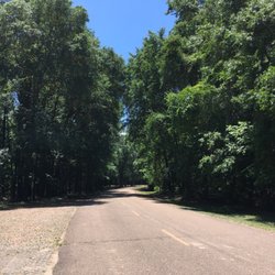Dewayne Hayes - Entrance Road