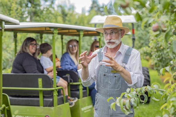 The Fruit Company - Factory Experience by null