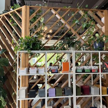 Parable Cafe - Plants! - Cafes Near Me - Columbus, Ohio