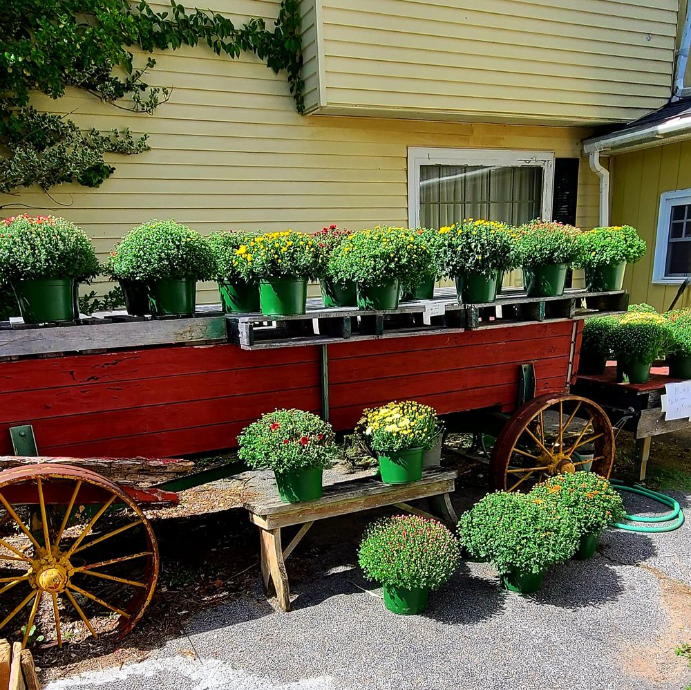 Food from Old McMarley's Apple Farm