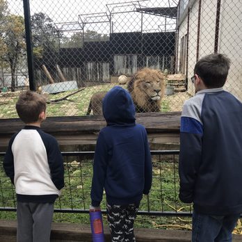 Austin Zoo - Zoos Near Me - Austin, Texas