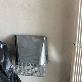 Rodent Control - Pest Control Near Me - Los Angeles, California
