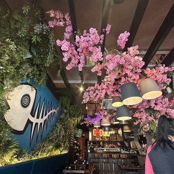 Lazy Fish - Sushi Bars Near Me - Frederick, Maryland Lazy Fish - Sushi Bars Near Me - Frederick, Maryland
