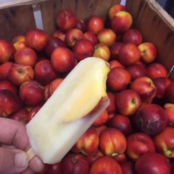 Pedal Pops - a person holding a popsicle in front of a box of apples - Ice Cream & Frozen Yogurt Near Me - Farmington, Arkansas Pedal Pops - a person holding a popsicle in front of a box of apples - Ice Cream & Frozen Yogurt Near Me - Farmington, Arkansas