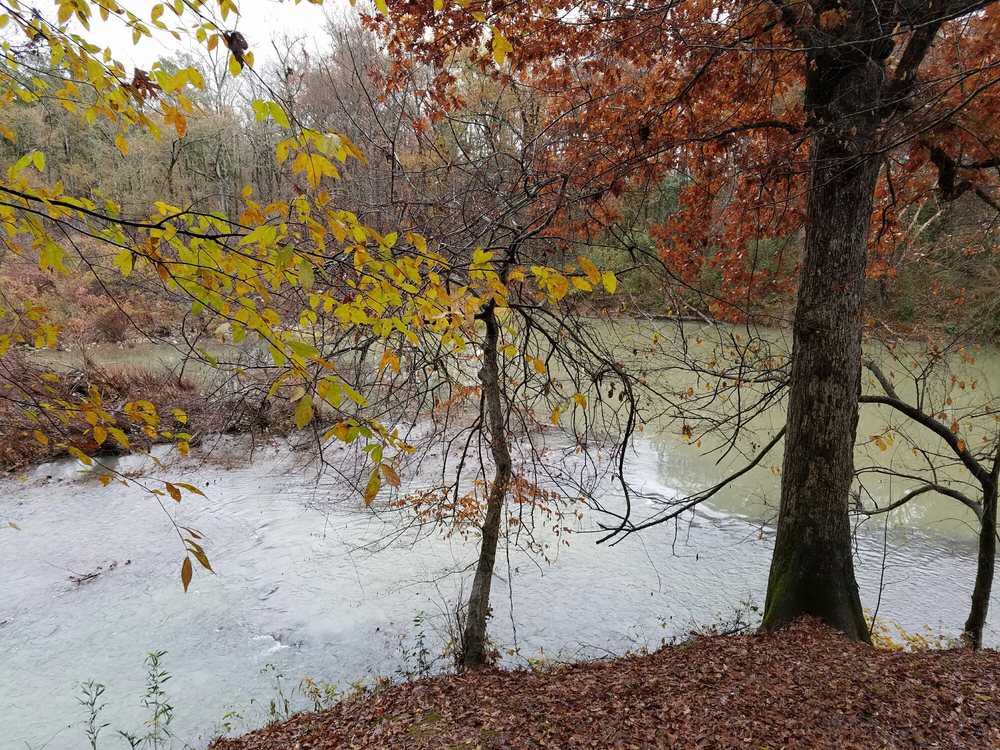 TREETOP VIEW CABINS Updated August 2024 13 Photos Battiest