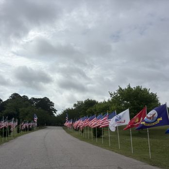 Military Aviation Museum - Museums Near Me - Virginia Beach, Virginia