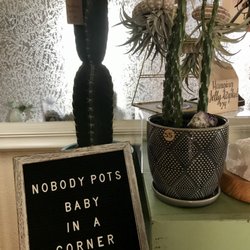 Cactus Moon - Nobody!