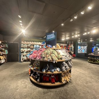 National Aquarium - Gift store - Aquariums Near Me - Baltimore, Maryland