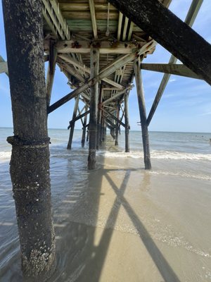 Isle of Palms Beach by null