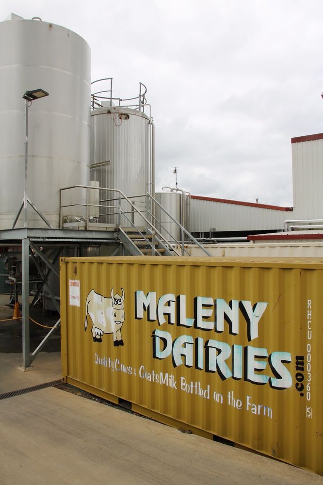 MALENY DAIRY MILK 24 Photos Mears Ln, Maleny Queensland, Australia Farms Phone Number Yelp