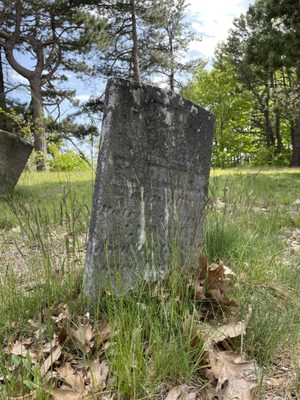 Western Cemetery by null