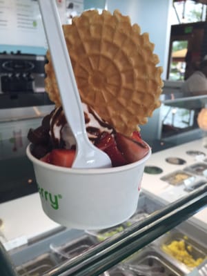 Pinkberry by null