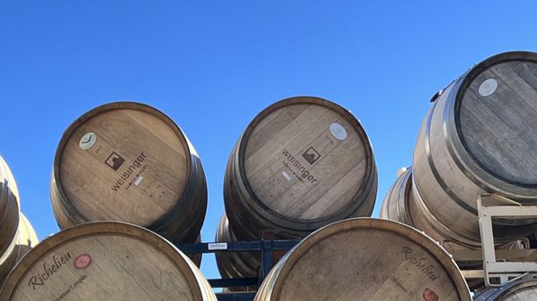 Weisinger Family Winery by null