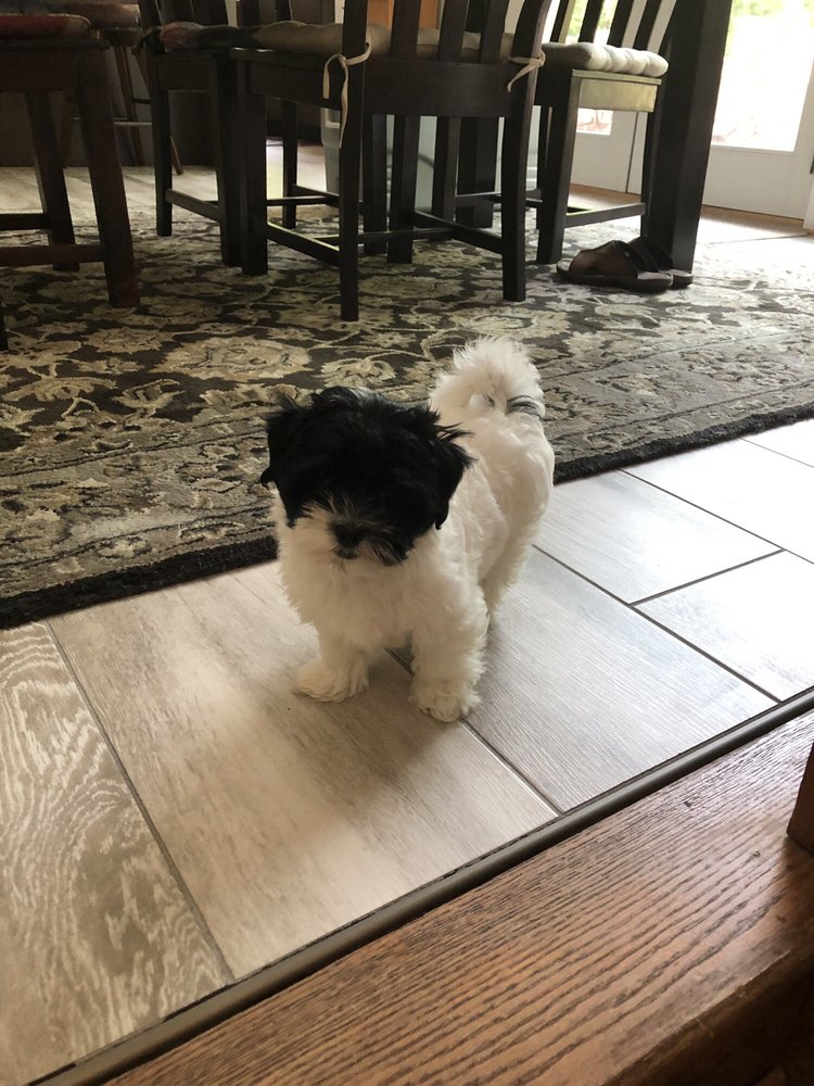 PETCO 24 Reviews 251 W Lee Hwy, Warrenton, VA Yelp