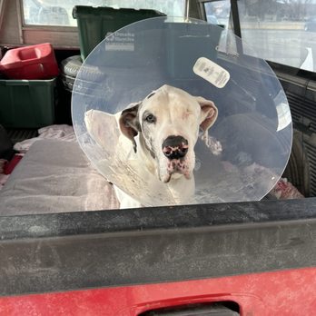 Urgent Pet Care West - Veterinarians Near Me - Omaha, Nebraska Urgent Pet Care West - Veterinarians Near Me - Omaha, Nebraska