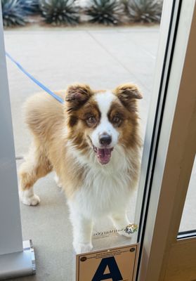 Christophe Rull Patisserie by null