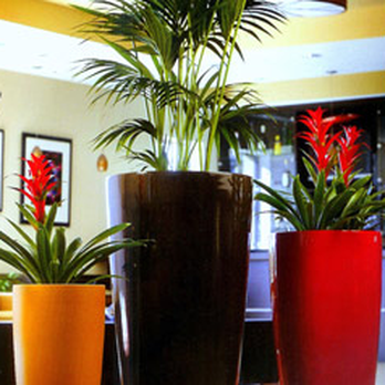 Interior Nature's Design - Interior Design Near Me Interior Nature's Design - Interior Design Near Me