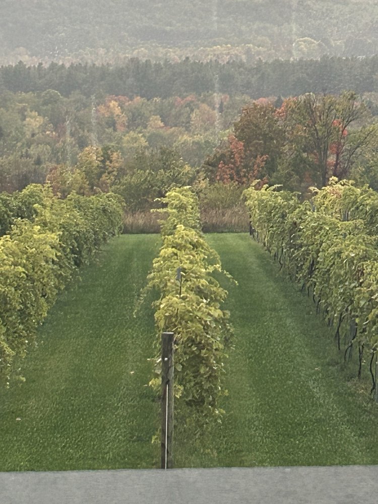 Maquam Barn and Winery - vineyard in Milton, VT