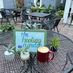 BUDS Plant Boutique - Plants