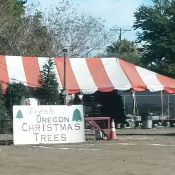 L & G Desert Store - Christmas trees are also being sold in addition to fruits and veggies inside. - Grocery Near Me - Indio, California L & G Desert Store - Christmas trees are also being sold in addition to fruits and veggies inside. - Grocery Near Me - Indio, California