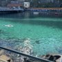 Photo of Leonelli's Beach