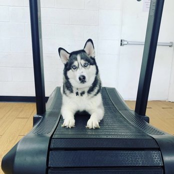 Burns Barbell - Circuit Training Gyms Near Me - Monroe, Ohio