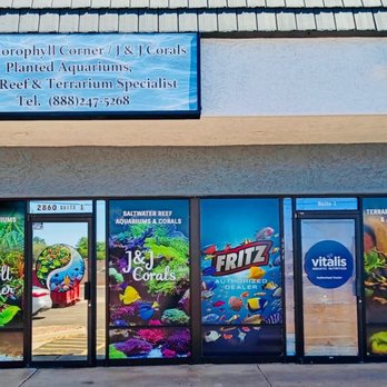 The Chlorophyll Corner - Local Fish Stores Near Me - Mesa, Arizona The Chlorophyll Corner - Local Fish Stores Near Me - Mesa, Arizona