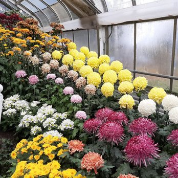 Centennial Park Conservatory - Parks Near Me - Toronto, Ontario