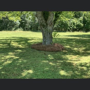 Craig Lawn Service - Pine straw job in Hawkinsville, Ga - Lawn Services Near Me Craig Lawn Service - Pine straw job in Hawkinsville, Ga - Lawn Services Near Me