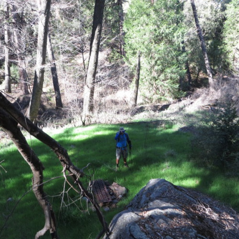 Los Padres National Forest - Lunch in a meadow.
Los Padres National Forest-Reyes Creek - Hiking Near Me Los Padres National Forest - Lunch in a meadow.
Los Padres National Forest-Reyes Creek - Hiking Near Me
