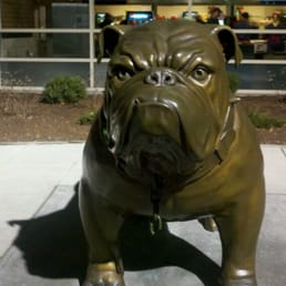 Bulldog statue that welcomes you to the " MAC"