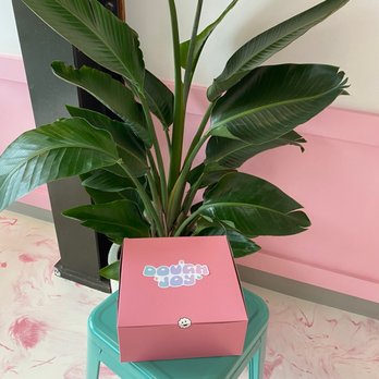 Dough Joy - Donuts Near Me - Seattle, Washington Dough Joy - Donuts Near Me - Seattle, Washington