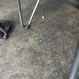 Smashed lettuce and corn for who knows when Smashed lettuce and corn for who knows when