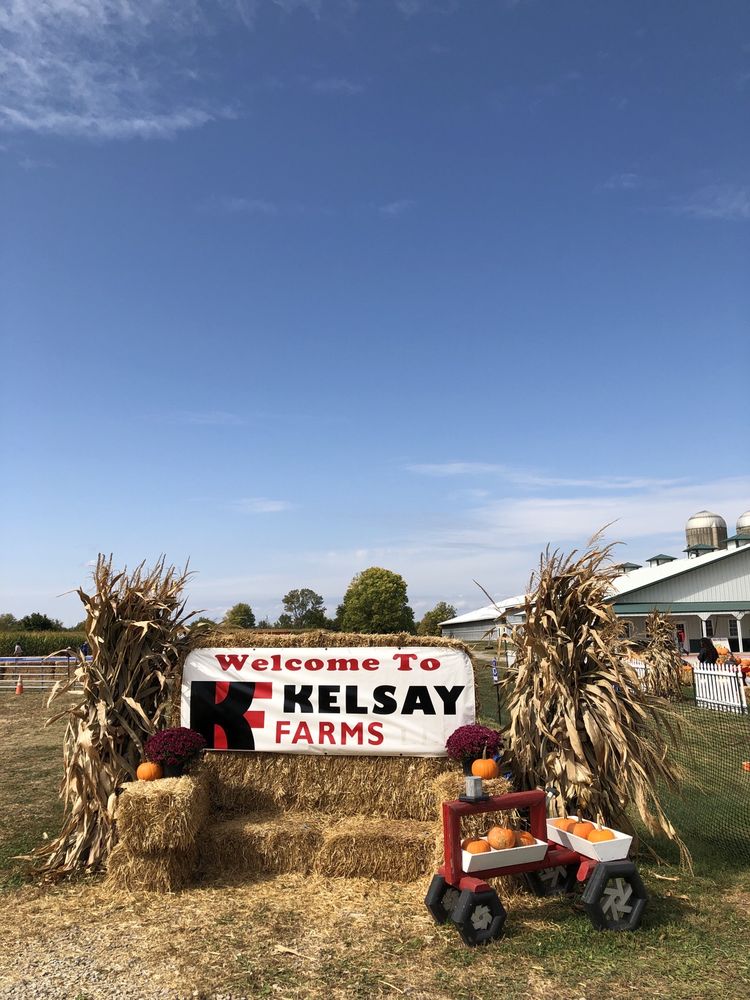 KELSAY FARMS Updated July 2024 56 Photos & 14 Reviews 6848 N