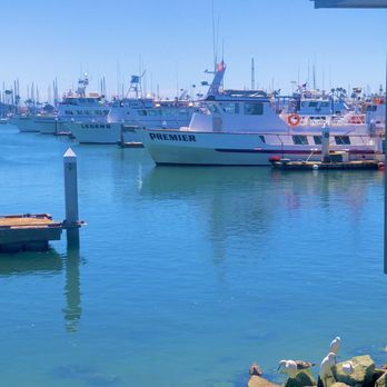 Point Loma Marina - Boats, Seagulls and Egrets - Marinas Near Me - San Diego, California Point Loma Marina - Boats, Seagulls and Egrets - Marinas Near Me - San Diego, California