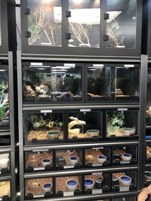 PREDATOR’S REPTILE CENTER - Updated June 2024 - 70 Photos & 117 Reviews