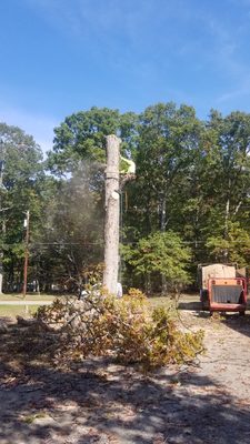 Residential Tree Service Work - Residential Tree Service Work we did recently. Another happy local. Residential Tree Service Work - Residential Tree Service Work we did recently. Another happy local.