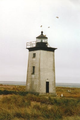Long Point Beach by null